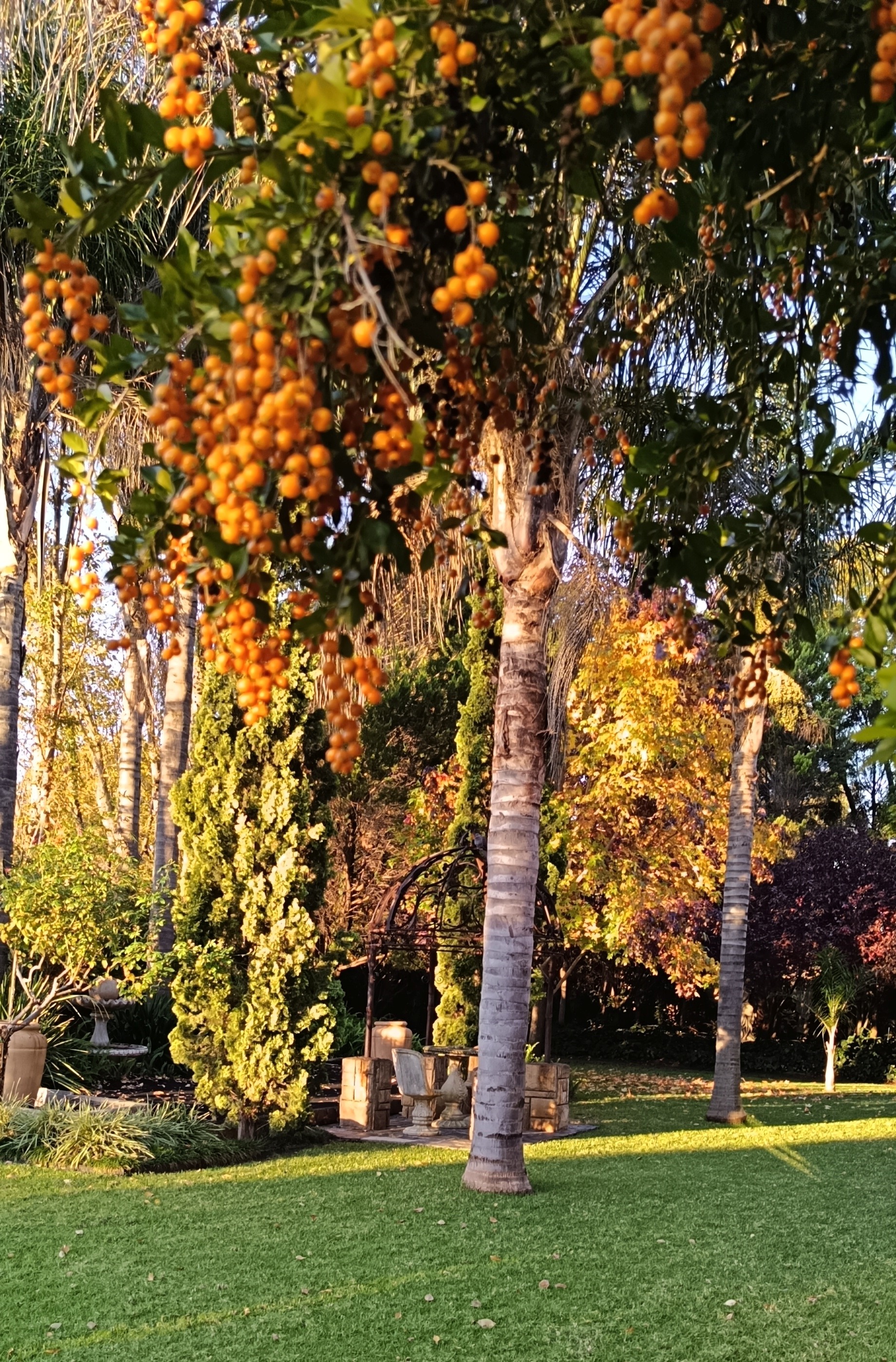 Garden10