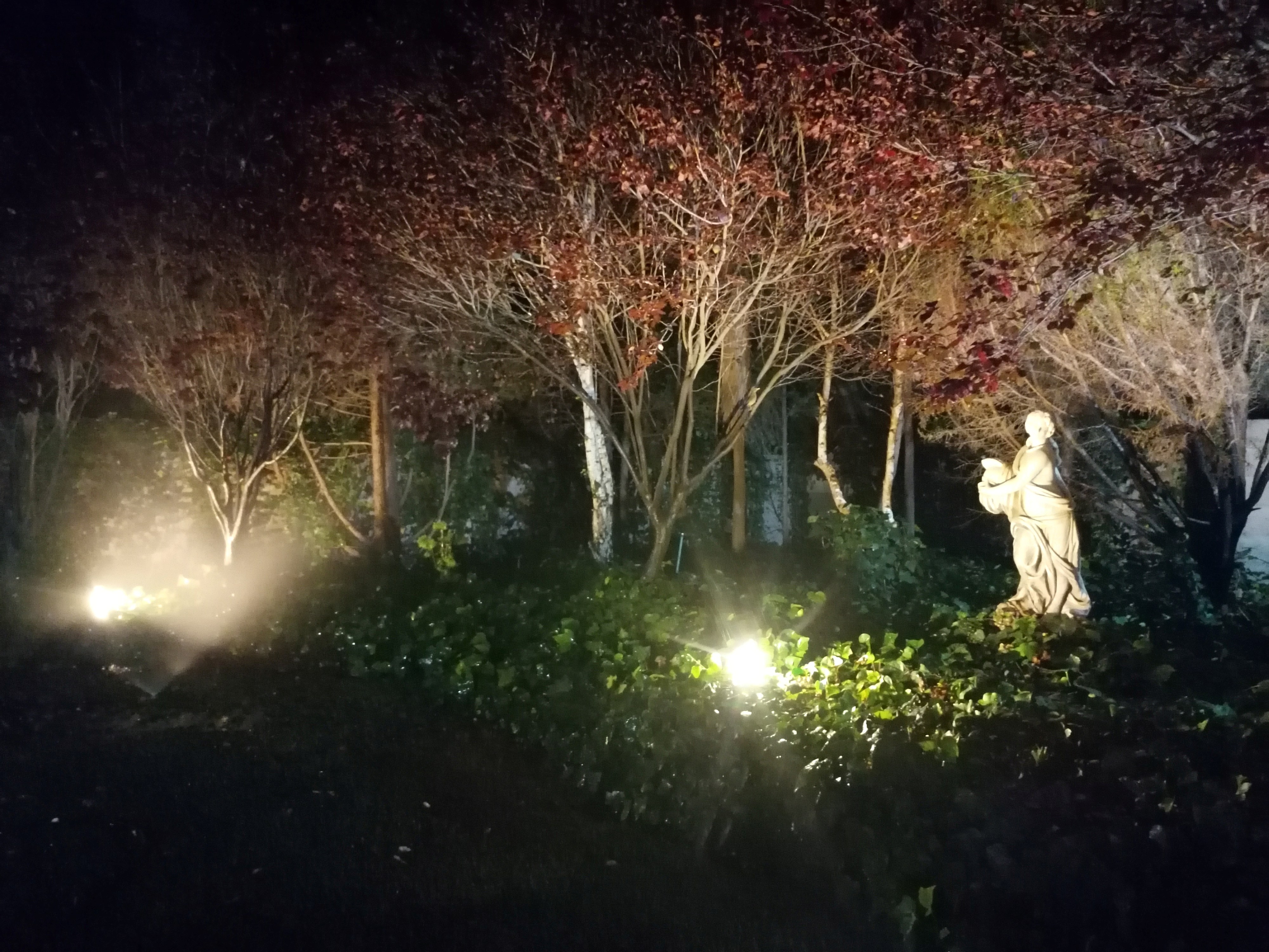 Garden6